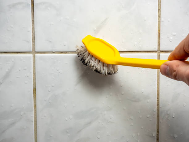  Marion, SC Mold Removal Pros