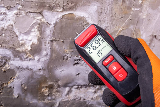 Best Professional Mold Removal  in Marion, SC