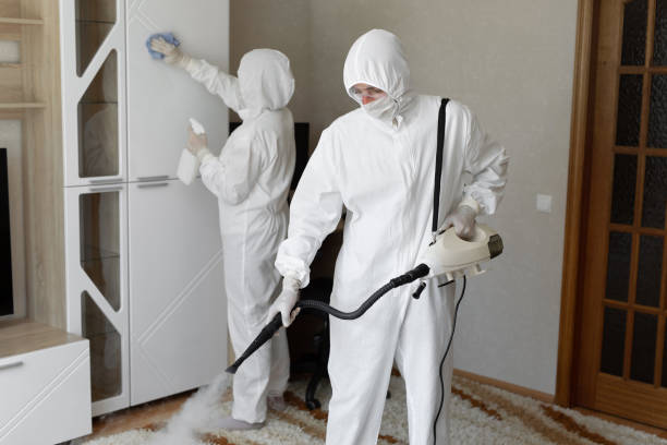 Certified Mold Removal in Marion, SC