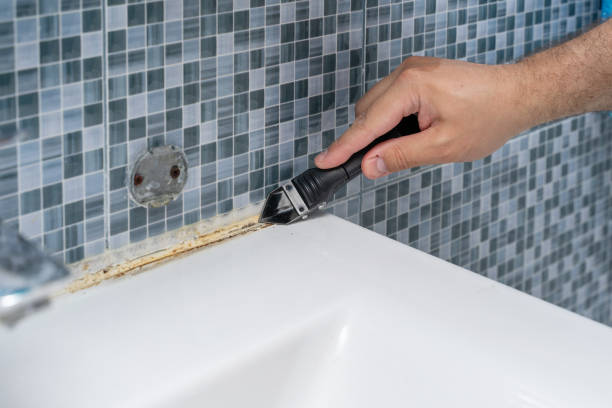 Best Mold Damage Repair  in Marion, SC