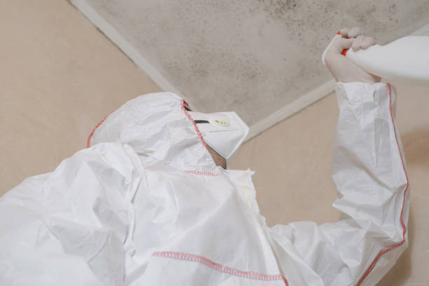 Water Damage Restoration in Marion, SC